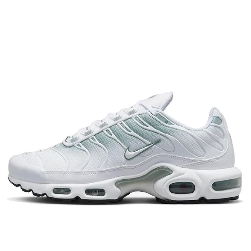Nike Air Max Plus Noir Argent Blanc