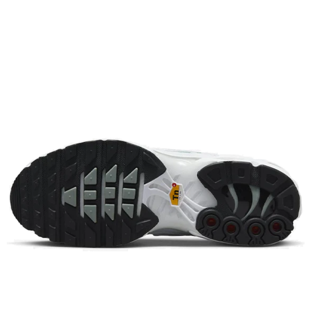 Nike Air Max Plus Noir Argent Blanc