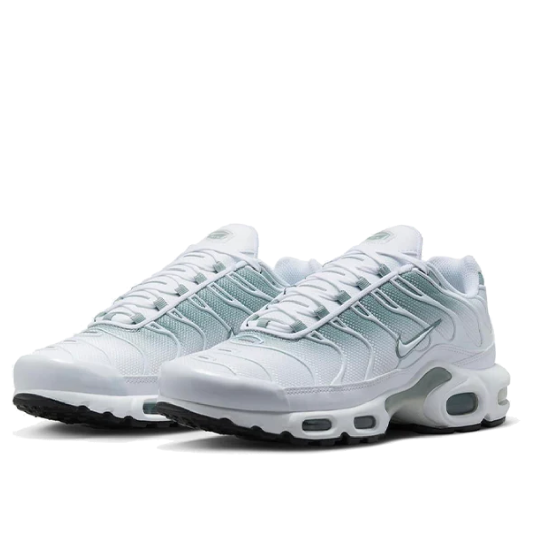 Nike Air Max Plus Noir Argent Blanc