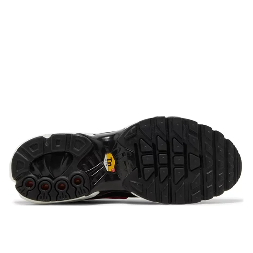 Nike Air Max Plus Noir Argent Blanc