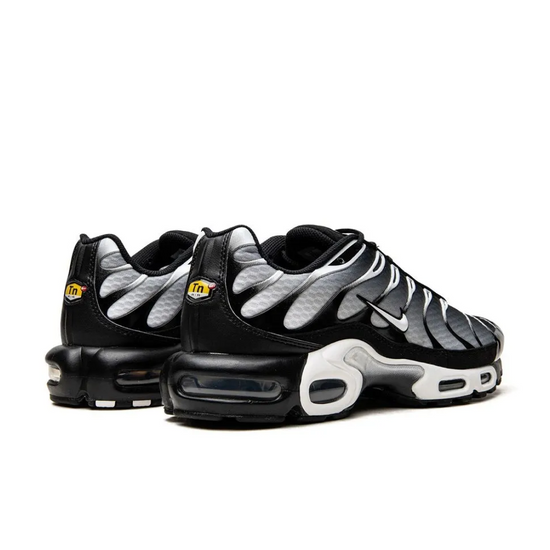 Nike Air Max Plus Black Silver White
