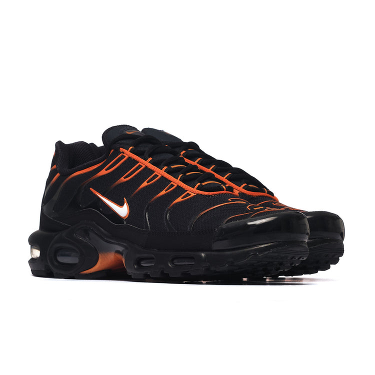 Nike Air Max Plus Tn Schuhe