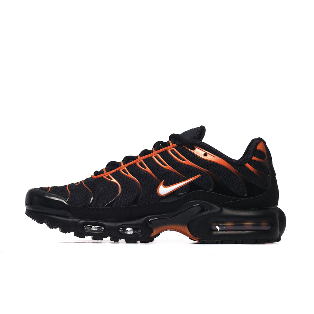 Nike Air Max Plus Tn Schuhe